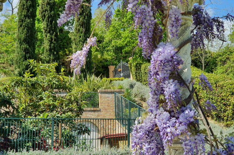 View of the driveway from the garden of the main house